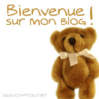 Bien venue sur mon blog