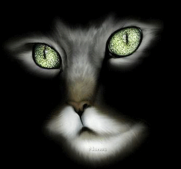 trop beau ................................