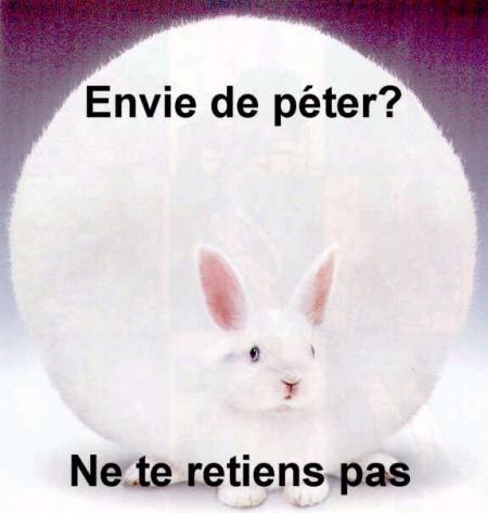 TROP CHOU