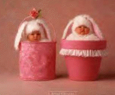 IL sont trop chouuuuuu !!!!!!!!!