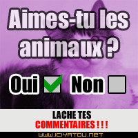 Aimes tu les animaux ?????