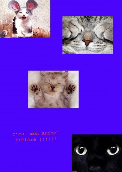 MON ANIMAL PREFERE ..... LE CHAT ????