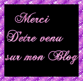 mici d'etre venu sur mon blog