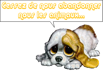 cessez d'abandonner les animaux !!
