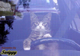 Je souhaite bon chance a ce qui veulent faire le permis!!!
